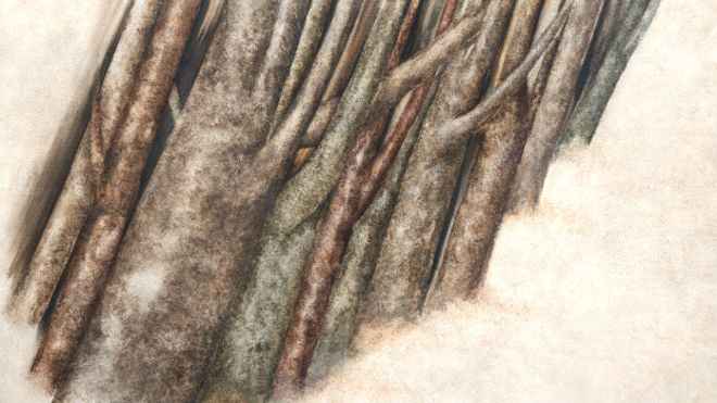 از مجموعهی «تنهی درختان» اثر سهراب سپهری