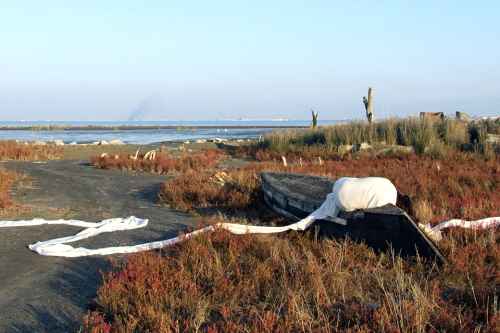 چشم‌اندازهای هویت‌های دوپاره: نگاهی به مجموعه آثار در-میان شقایق مظلومی